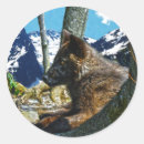 Search for black mountain stickers Animals