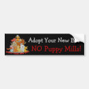 Search for dog adoption bumper stickers Cute