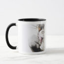 Search for cat nose mugs Grey