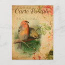 Search for carte postcards Paris