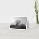 Search for oak tree photography Landscape