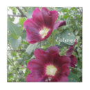 Search for deep red tiles Floral