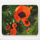 Search for poppy mousepads Floral