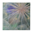 Search for dandelion tiles Seed