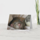 Search for styles subjects cards Cute