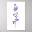 Search for larkspur posters Purple