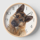 Search for german shepherd clocks Puppies