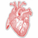 Search for scientific stickers Heart