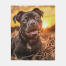 Search for staffordshire bull terrier blankets Pet