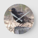 Search for wooden clocks Nature