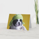 Search for french bulldog cards Purebred