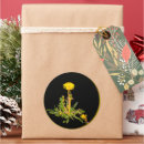 Search for dandelion stickers Photography