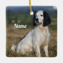 Search for english springer spaniel christmas tree decorations Pet