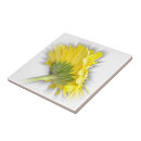 Search for yellow daisy tiles White