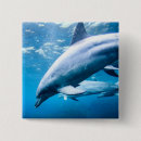 Search for underwater badges Sea