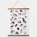 Search for wall hangings postcards Cat lover