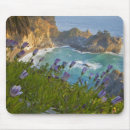 Search for chuck mousepads Beach