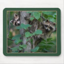 Search for twin mousepads Nature