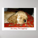 Search for dog napping posters Puppy