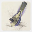 Search for plate stickers Birds