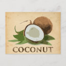 Search for coconuts postcards Tropical
