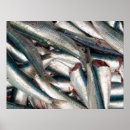 Search for sardines posters Sea