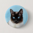 Search for siamese badges Kitten