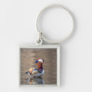 Search for ducks key rings Pond