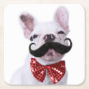 Search for puppy coasters Baby animals
