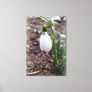 Search for snowdrop art White