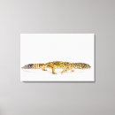 Search for side view canvas prints Reptiles