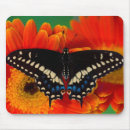 Search for gerbers mousepads Close up