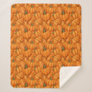 Search for pumpkin spice blankets Fall