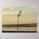 Search for solo posters Tree