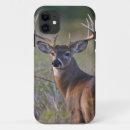 Search for white deer iphone cases Wildlife