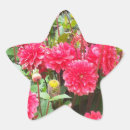 Search for pink dahlia stickers Floral