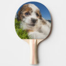 Search for canada ping pong paddles British columbia