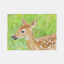 Search for danita delimont blankets White tailed deer