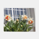 Search for spring daffodils Birthday