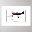 Search for p51 posters Aeroplane