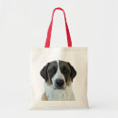 Search for anatolian accessories Dog