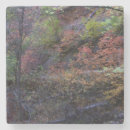 Search for west fork Landscape