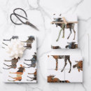 Search for moose wrapping paper Woodland