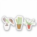 Search for vera stickers Cactus