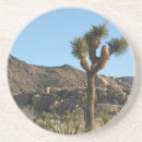 Search for joshua coasters Nature