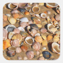 Search for sandi stickers Seashell