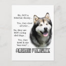 Search for malamute postcards Dog