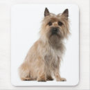 Search for terriers mousepads Cairn terrier