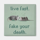 Search for faking magnets Opossum