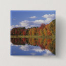 Search for reflective badges Usa